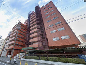 シャンボール康生