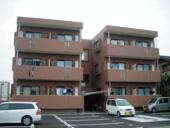 ブラッサムのイメージ