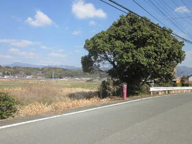 熊本県菊池郡大津町大字錦野