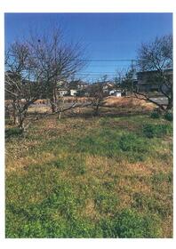 大分県大分市坂ノ市西１丁目