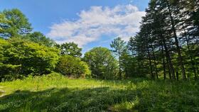 長野県北佐久郡軽井沢町大字長倉