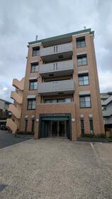 グローバル衣笠