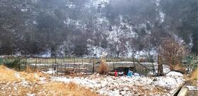 兵庫県川辺郡猪名川町民田字コケナシ