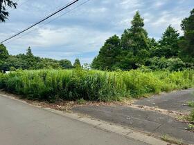 茨城県鹿嶋市大字志崎