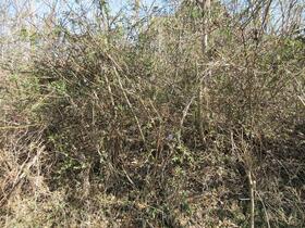 兵庫県小野市昭和町