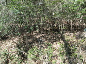 兵庫県多可郡多可町八千代区仕出原