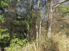 兵庫県川辺郡猪名川町木津字笠嶺