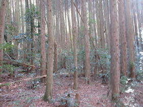 兵庫県神崎郡神河町福本