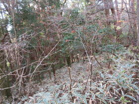 岐阜県加茂郡白川町赤河