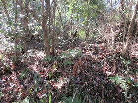 愛知県岡崎市大幡町字中根