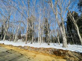 長野県上水内郡信濃町大字柏原