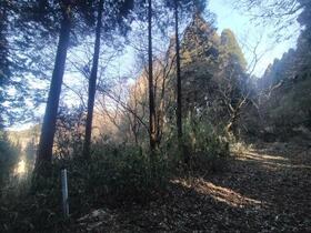熊本県阿蘇市波野大字小地野