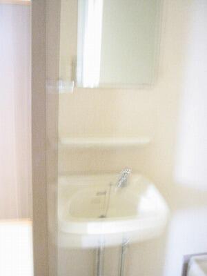 ベルシオンはやせB_その他_1