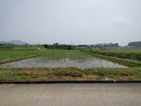 熊本県上益城郡益城町大字島田