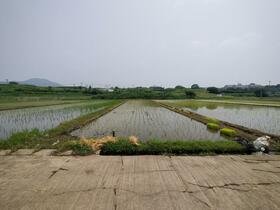 熊本県上益城郡益城町大字島田