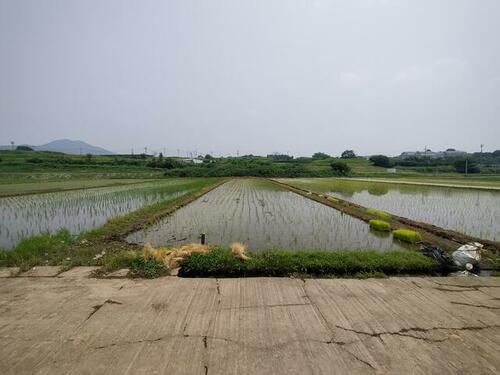Land, 熊本県 上益城郡益城町