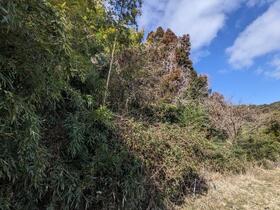 京都府亀岡市西別院町犬甘野奥殿