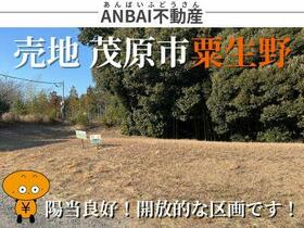 千葉県茂原市粟生野