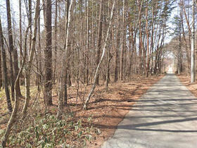 山梨県北杜市大泉町西井出