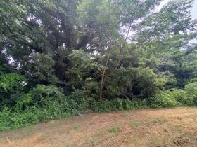 熊本県上益城郡嘉島町大字井寺