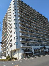 千葉県長生郡白子町剃金