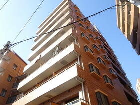 ライオンズプラザ井土ヶ谷弐番館