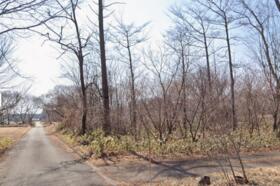 山梨県北杜市高根町東井出