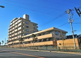 東京都葛飾区奥戸９丁目