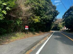 長崎県壱岐市勝本町百合畑触