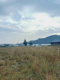 宮崎県東諸県郡国富町大字嵐田