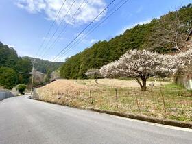 大阪府南河内郡千早赤阪村大字中津原