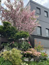 北海道札幌市白石区北郷五条６丁目