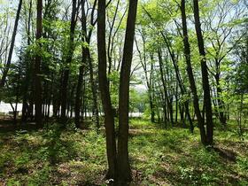 長野県諏訪郡原村−