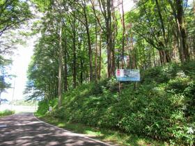 長野県諏訪郡富士見町富士見
