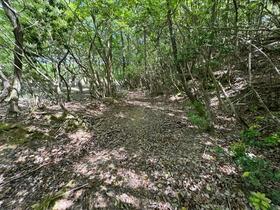 山口県美祢市西厚保町原
