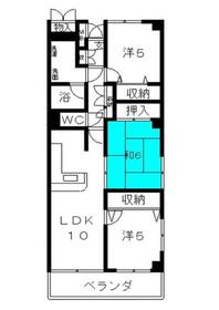 ルピナス四季の森公園