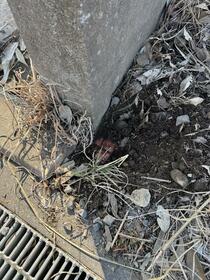 茨城県牛久市猪子町