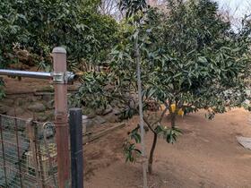 東京都八王子市加住町１丁目