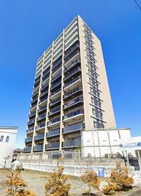 ポレスター錦パノラマコート