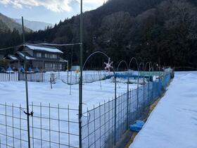 岐阜県本巣市根尾大井