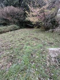 大分県大分市大字木上