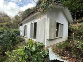 静岡県伊豆市大平柿木