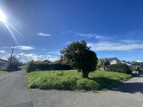 千葉県いすみ市大原台