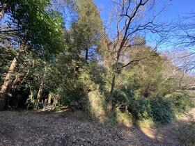 千葉県千葉市若葉区古泉町