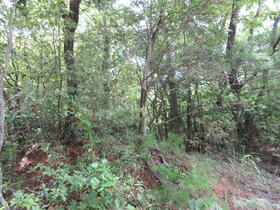 三重県津市白山町川口