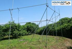 大阪府南河内郡河南町大字中