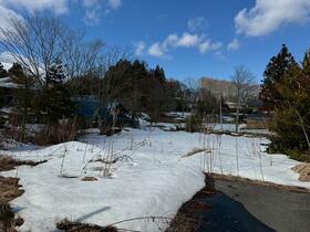 岩手県九戸郡九戸村大字長興寺第１０地割