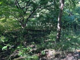 北海道札幌市西区山の手