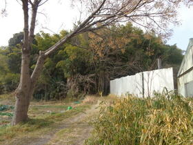 京都府京田辺市大住内山