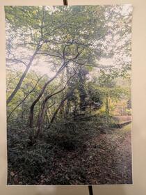 栃木県那須塩原市下田野